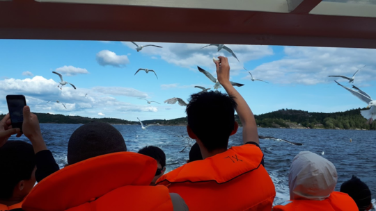 Feeding seagulls at Nansen Coast Camp Kragerø