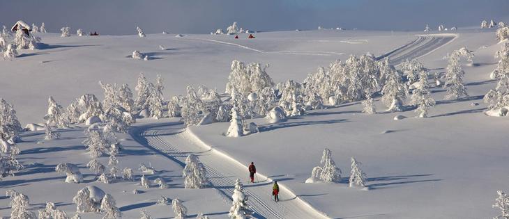Cross country skiing in Valdres